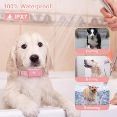 Pikabiu lightweight receiver worn by a small dog comfortably.