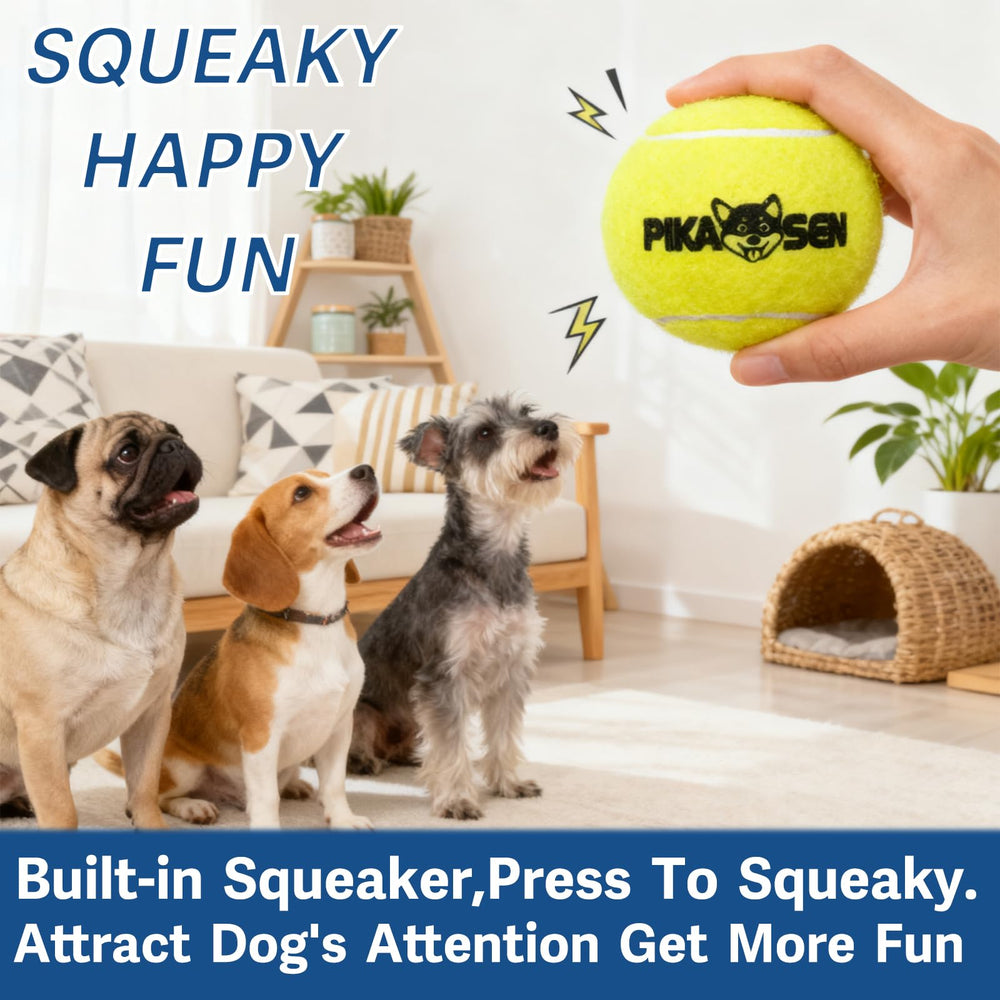 PIKASEN squeaky tennis ball in yellow red blue for color-stimulated fetch.