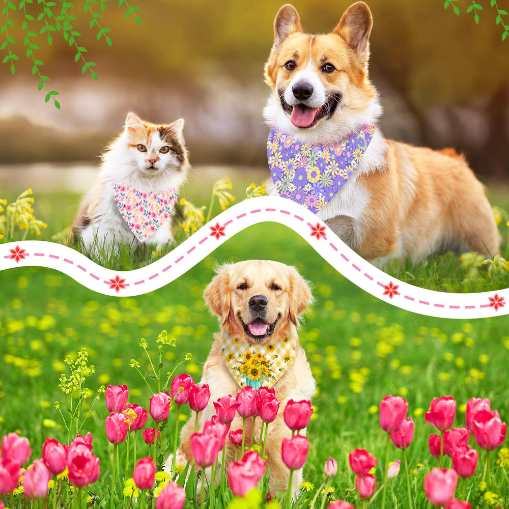 Piklodo grooming-ready bandana set 06 for grooming shops and pets.
