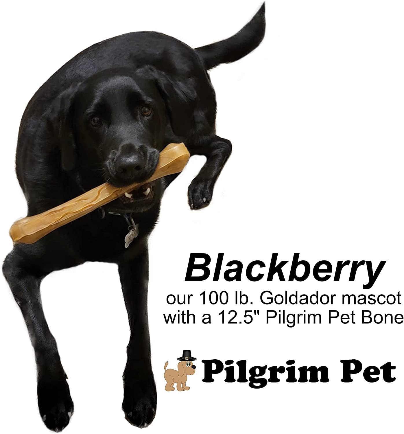 Pilgrim Pet packaging and brand label highlighting family-owned origin