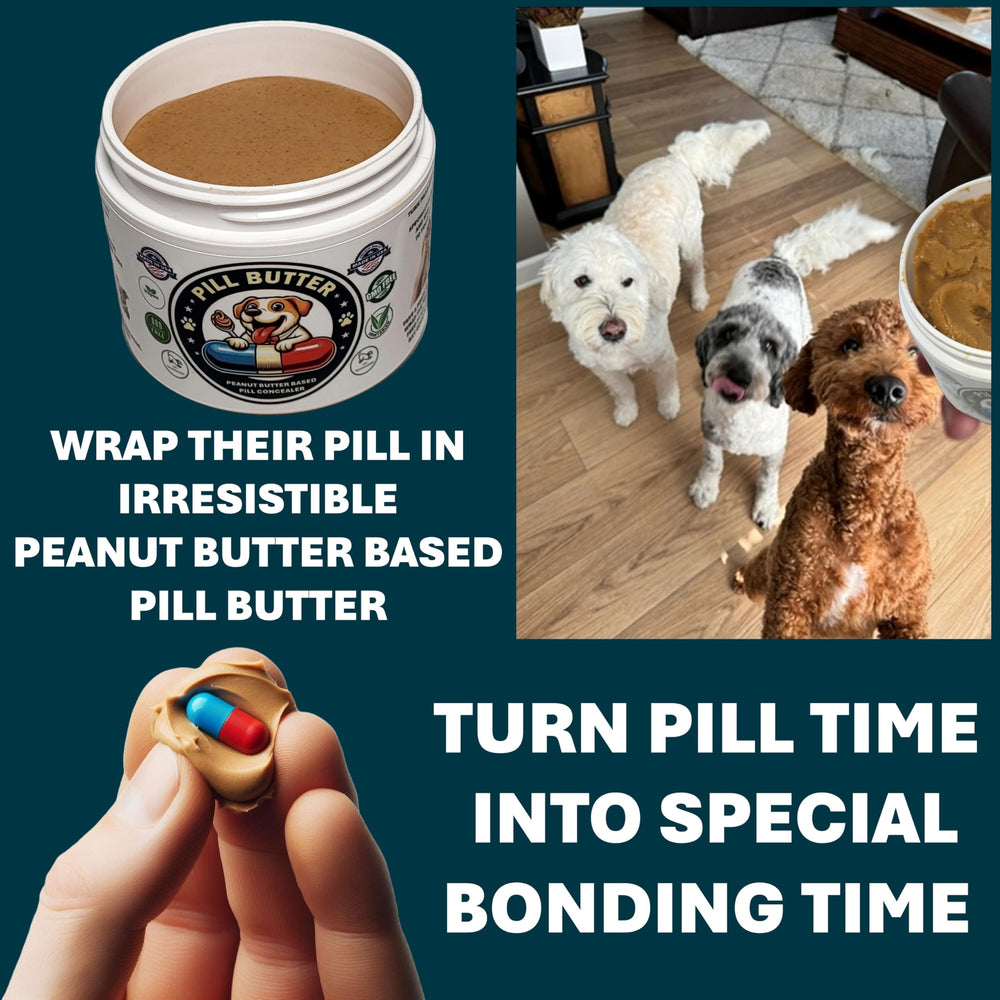 Pill Butter dog enjoying the pill-time treat with wrapped medication.