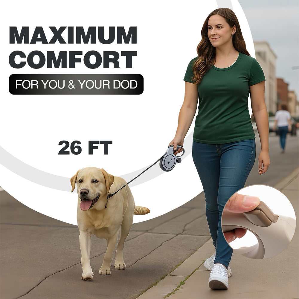 Pina Upgraded Retractable Leash used during a park walk for controlled roaming