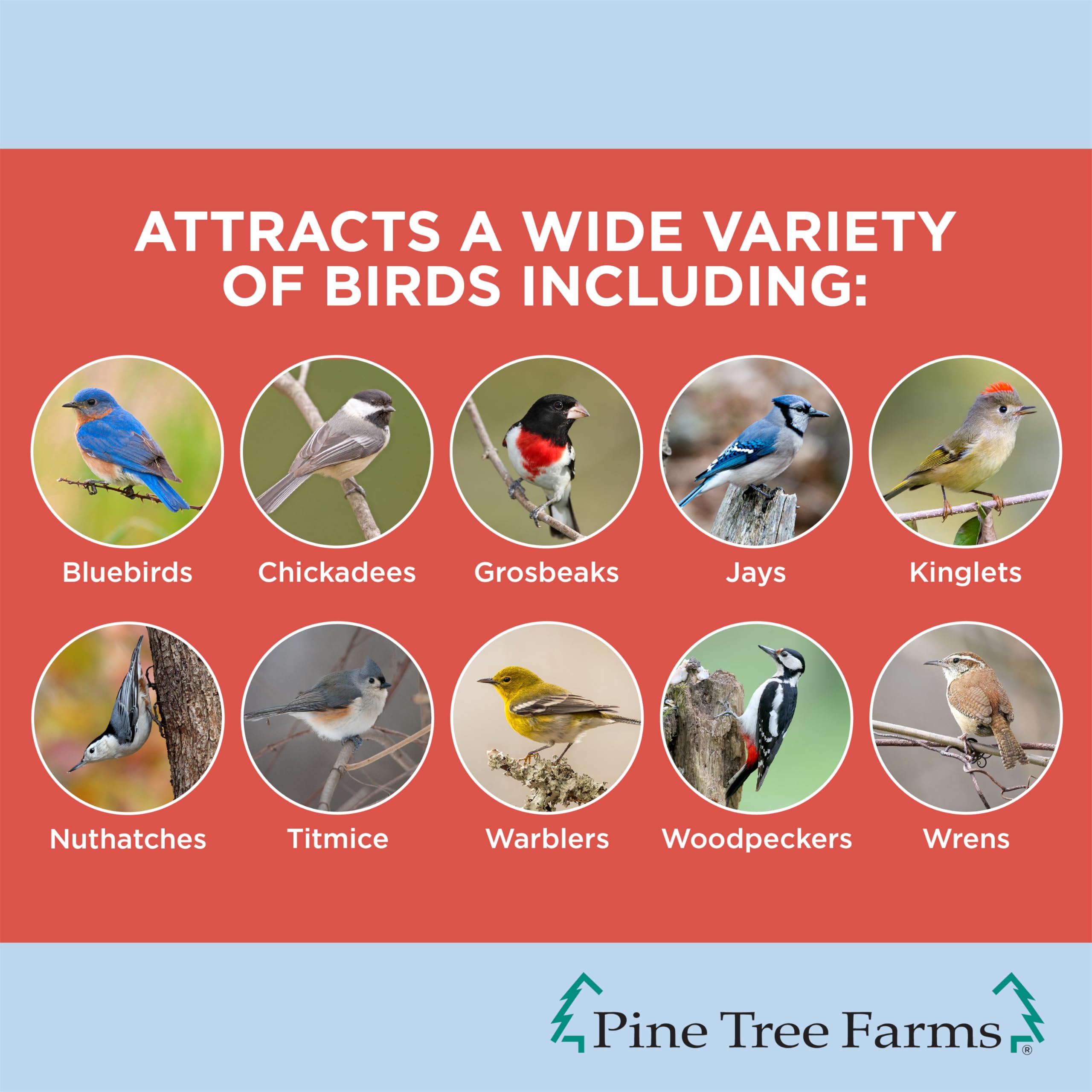 Pine Tree Farms seed log almonds close-up to attract birds
