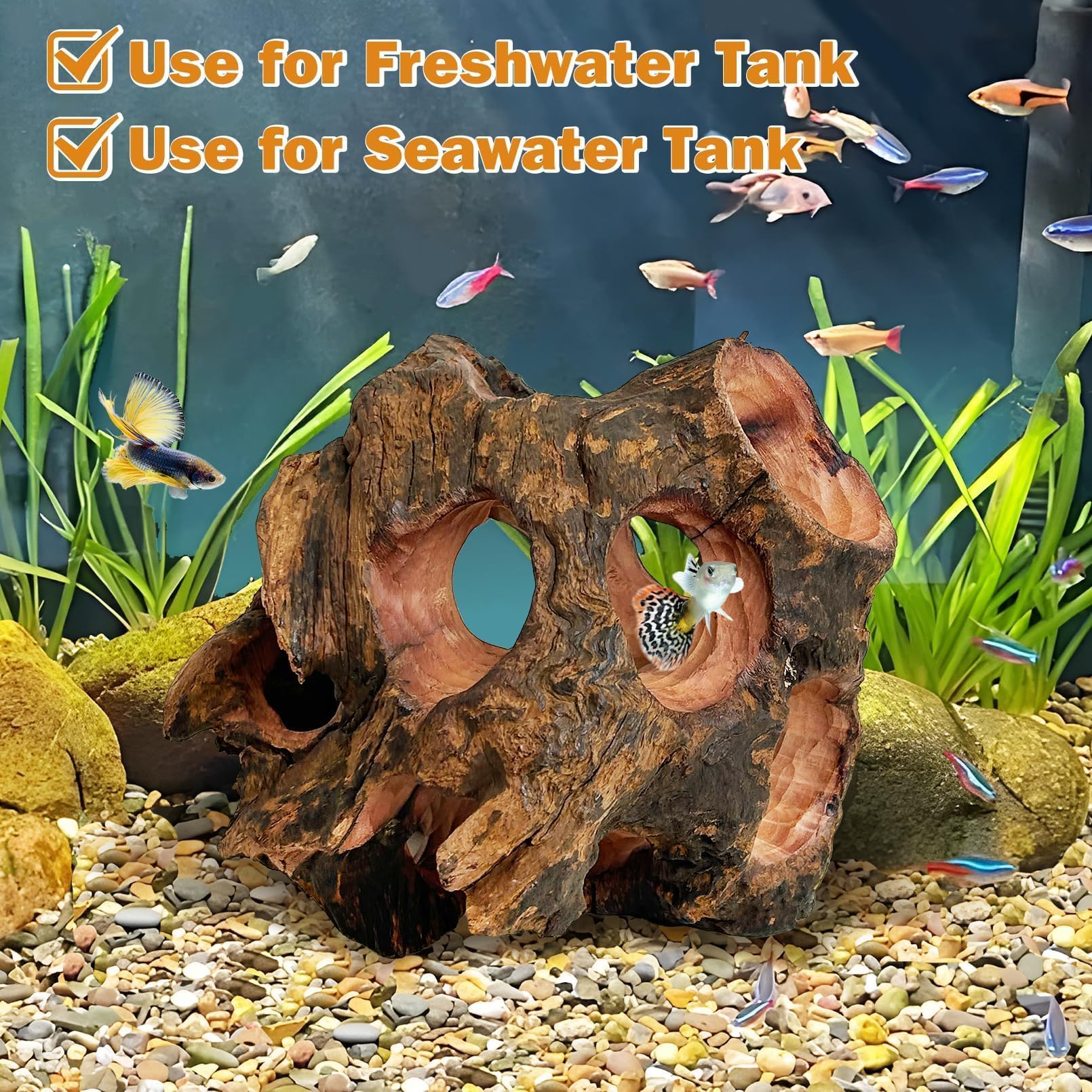 PINVNBY Betta Cave natural wood landscape enhances aquarium aesthetics.