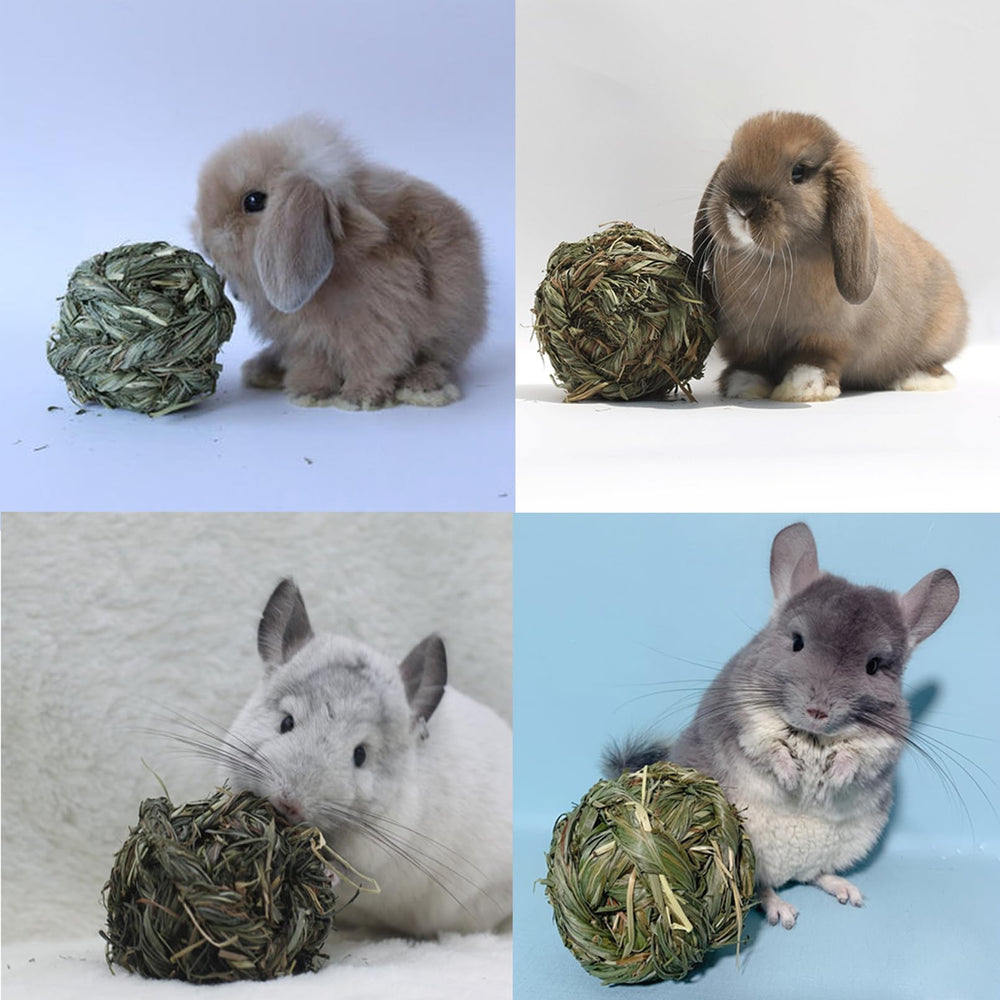 PINVNBY biodegradable toy is pet-safe and eco-friendly.