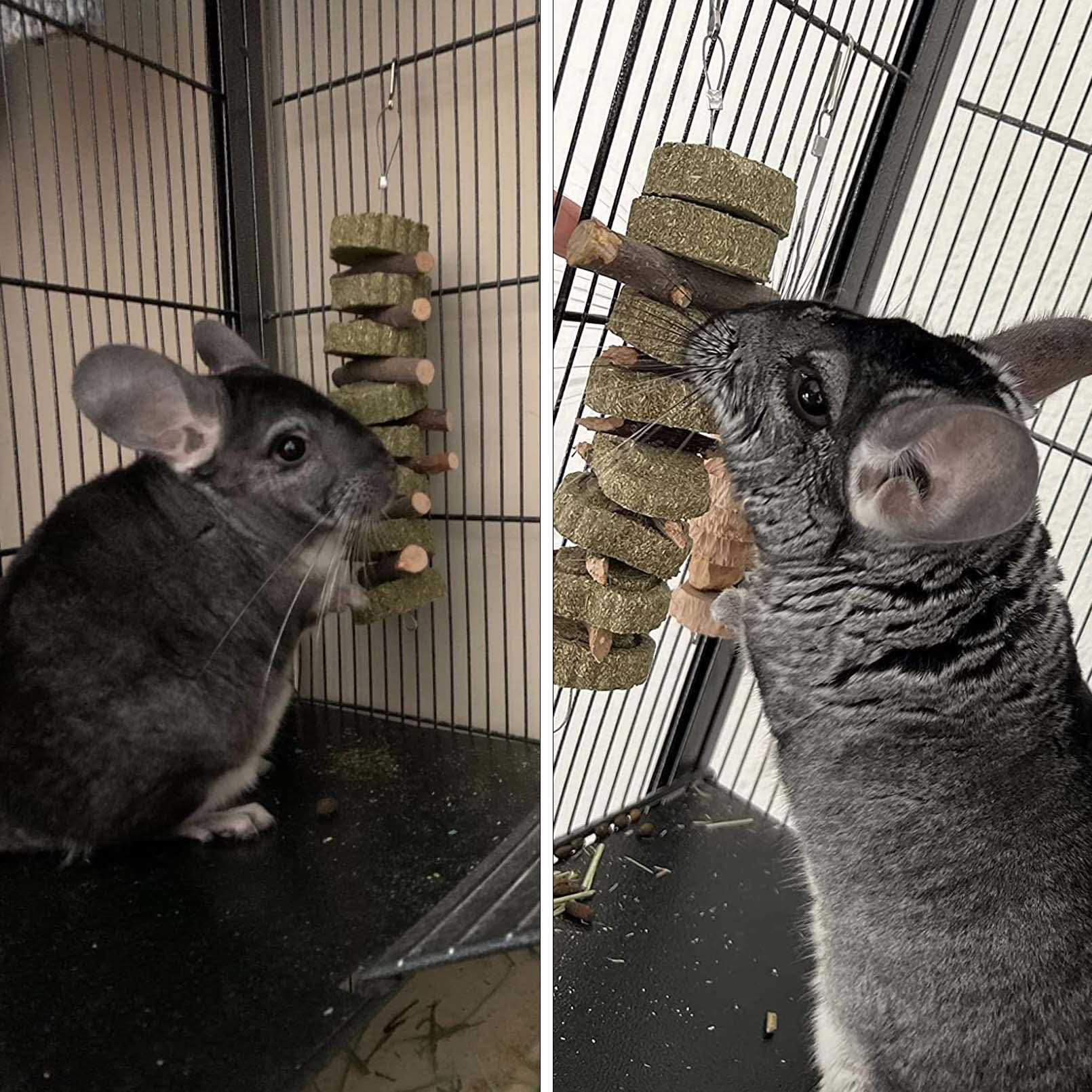 PINVNBY bunny chew toys include alfalfa grass cakes for varied texture and dental exercise.