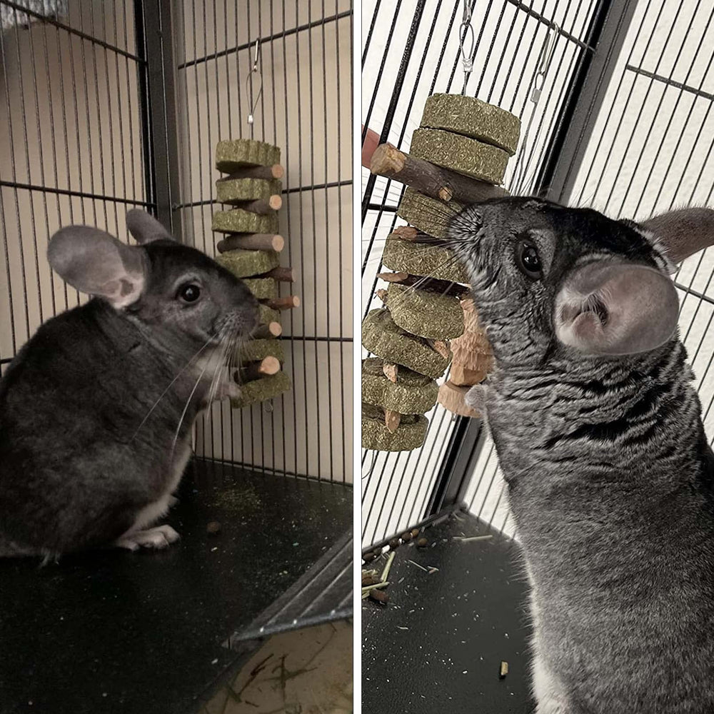 PINVNBY bunny chew toys include alfalfa grass cakes for varied texture and dental exercise.
