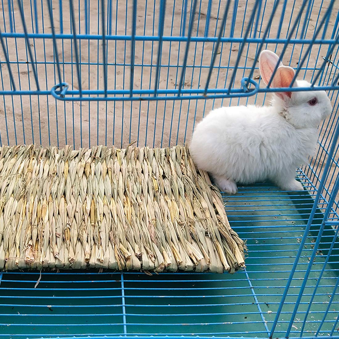 PINVNBY hay mat used for chewing and exploration by small pets.