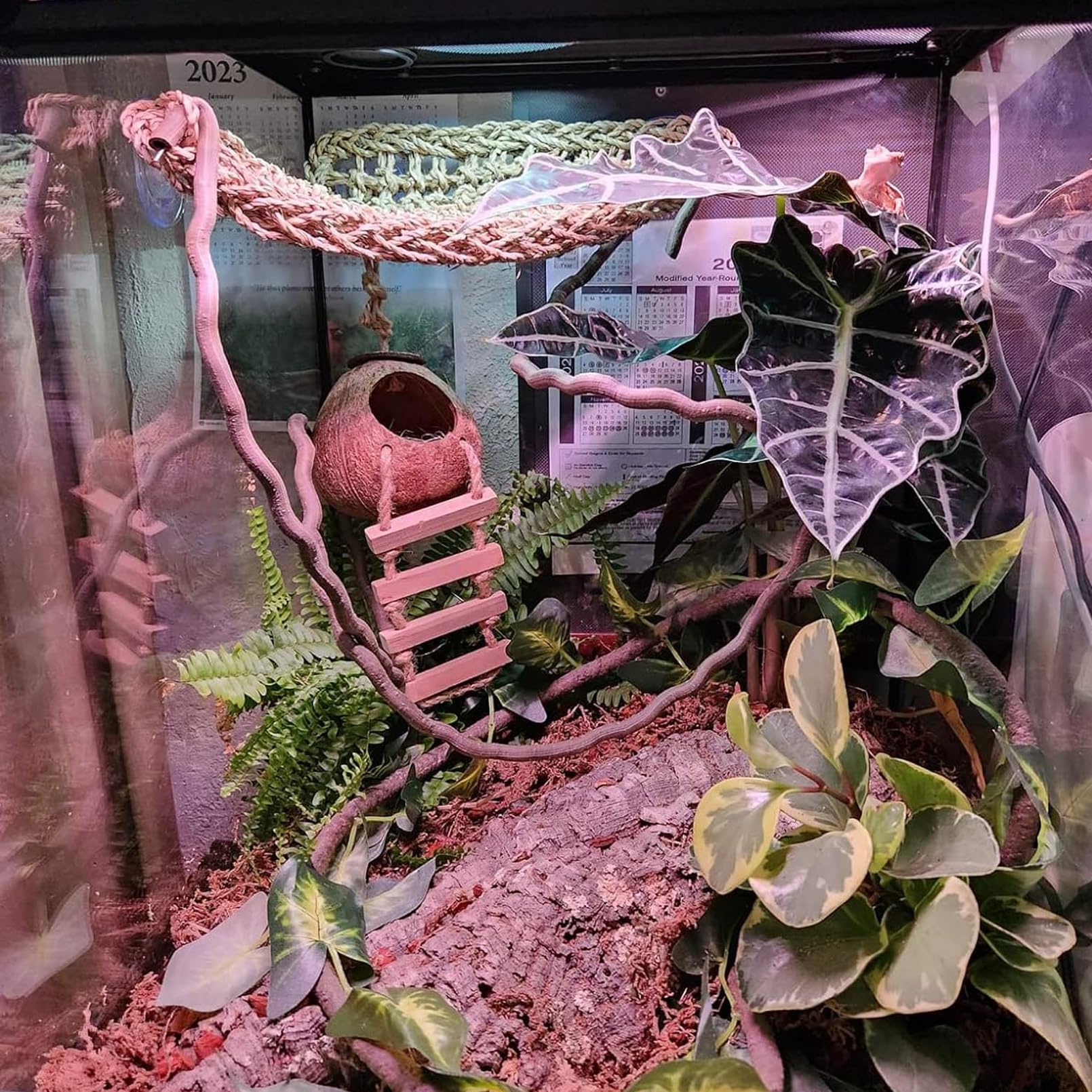 PINVNBY coconut shell hideout nest provides natural hiding spot
