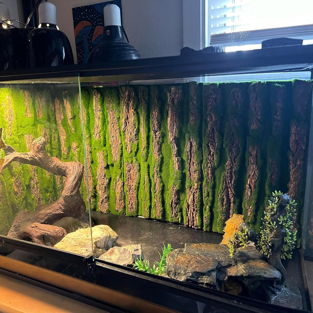 PINVNBY cork terrarium background easy-install option simplifies setup.