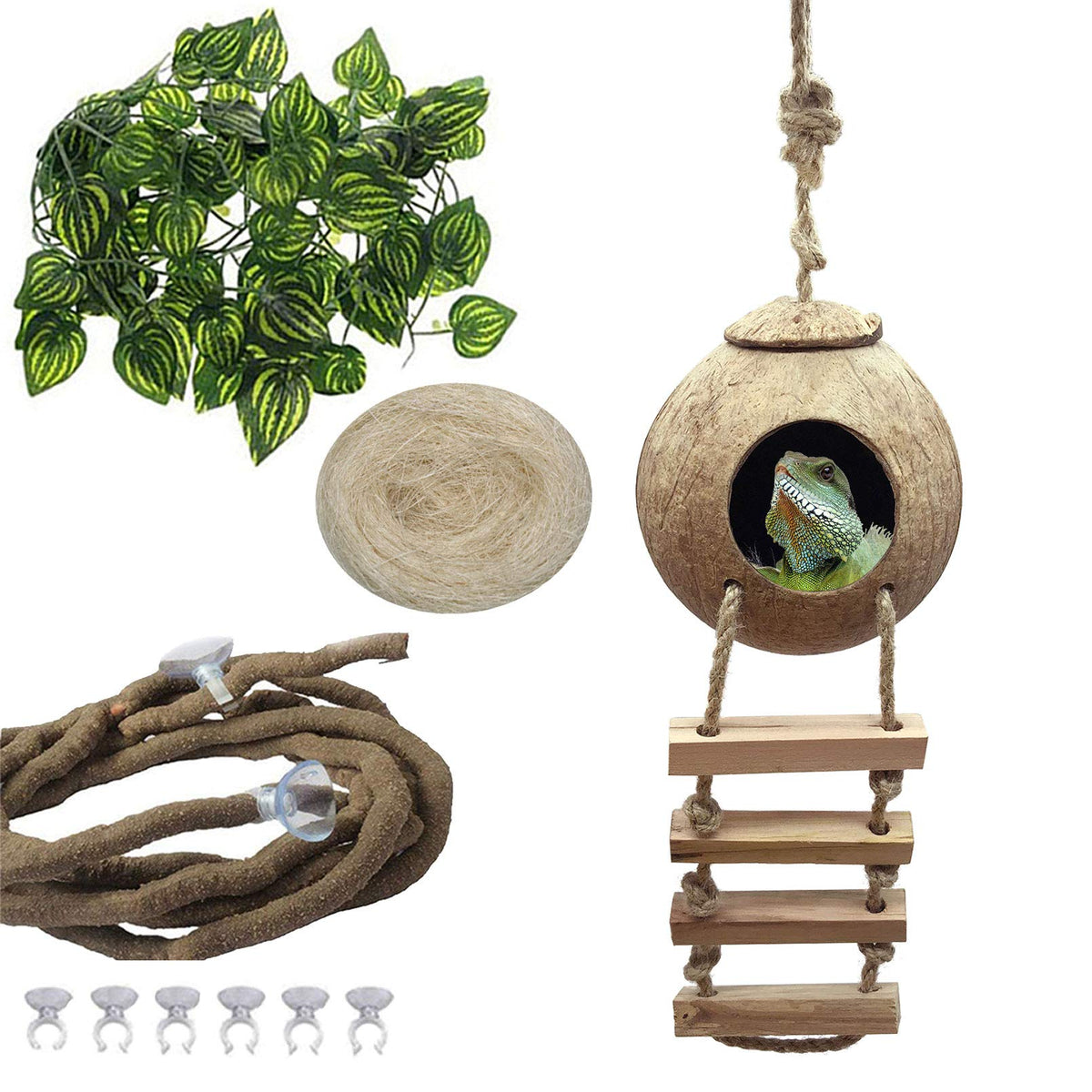 PINVNBY crested gecko coco hut with ladder for climbing enrichment