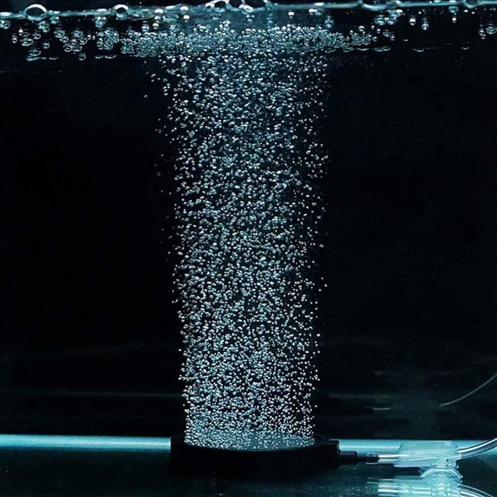 PINVNBY decorative airstone enhances aquarium aesthetics