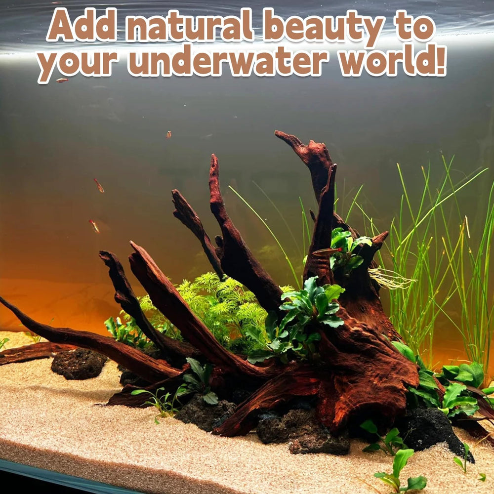 PINVNBY driftwood offers moss tree potential and natural landscape appeal in tanks.