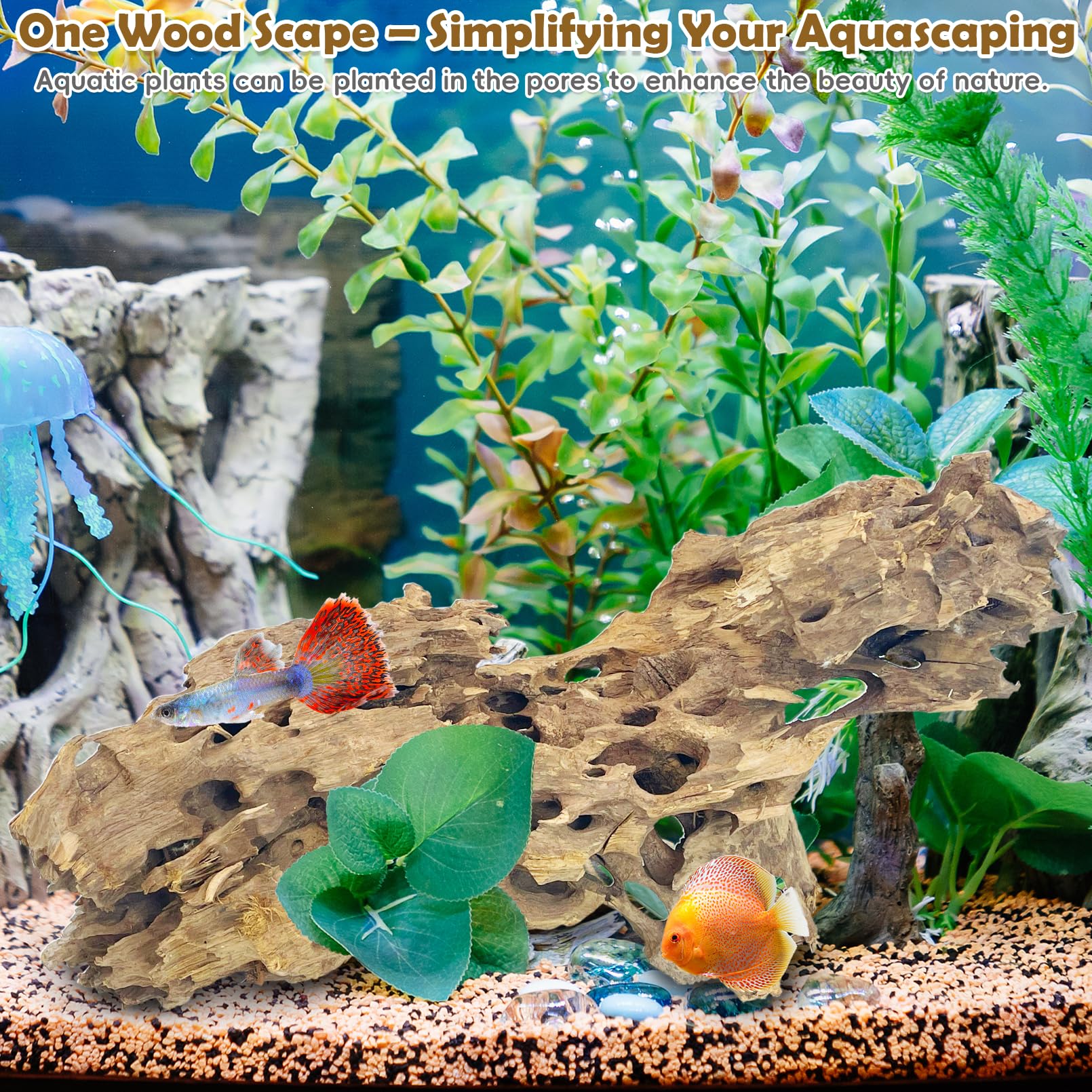 PINVNBY driftwood with holes offers hiding spots for fish and small inhabitants