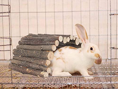 PINVNBY extra-large bridge provides ample space for larger small animals.