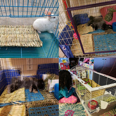 PINVNBY handwoven grass mat showing natural texture for small pets.