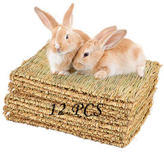 PINVNBY hay mats for rabbits pack 12 resting and chewing in a safe enclosure.