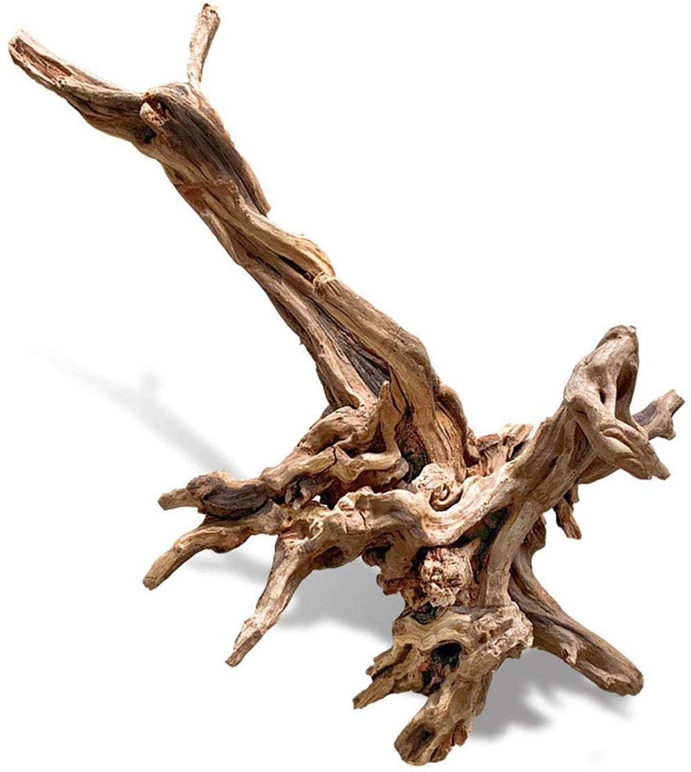 PINVNBY large driftwood branch adds a natural focal point and shelter for small fish.