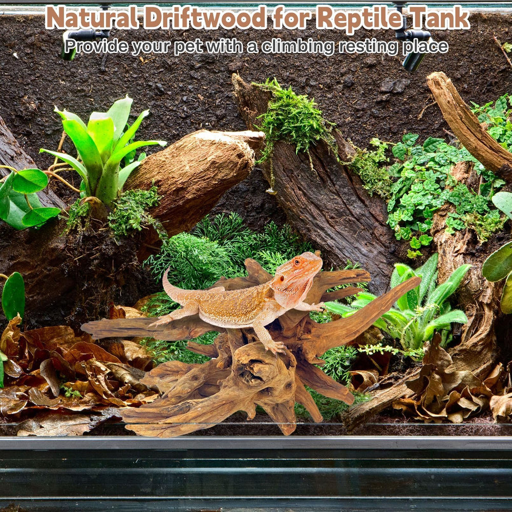 PINVNBY multi-use driftwood decor for fish tanks and bearded dragon enclosures.