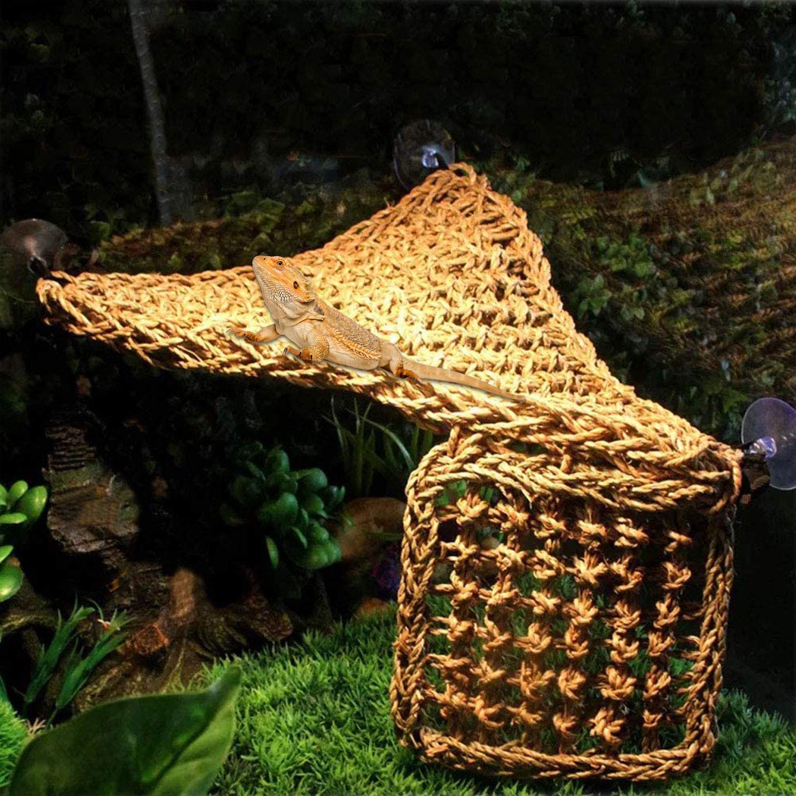 PINVNBY multi-level habitat climber enables vertical exploration in tanks.