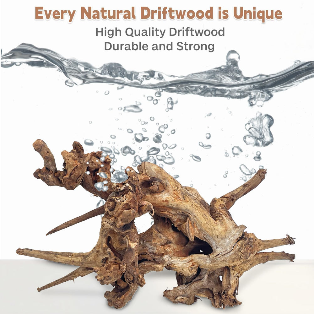 PINVNBY natural driftwood decor enhances aquarium aesthetics with authentic texture.