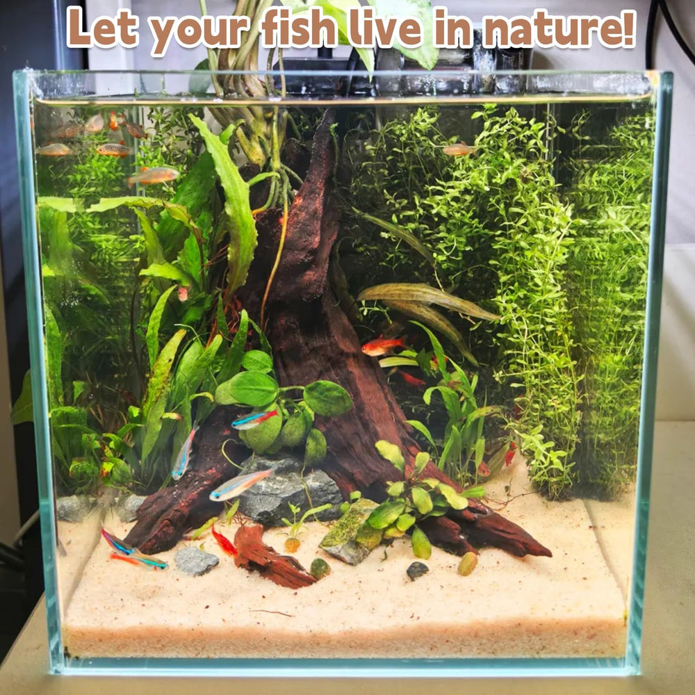 PINVNBY driftwood decor enhances tank aesthetics while providing structure for aquatic life.