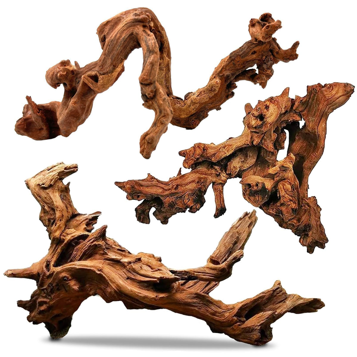 PINVNBY natural driftwood branch 7-11in adds natural texture to your aquarium.
