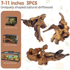 PINVNBY driftwood branch close-up highlights unique shapes for reptile habitats.