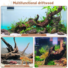 PINVNBY 7-11in driftwood in tank creates a natural hiding spot for fish.