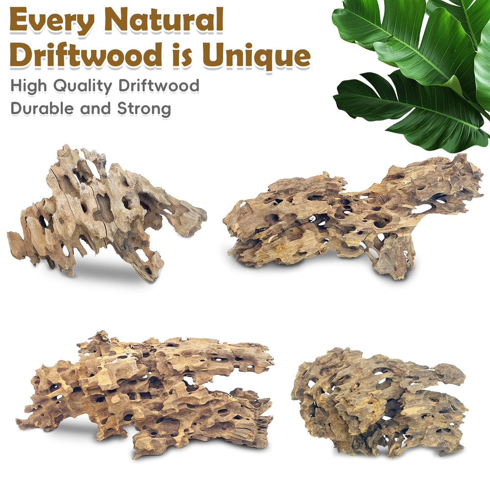 PINVNBY natural driftwood suits 10-gallon or larger tanks for balanced aesthetics