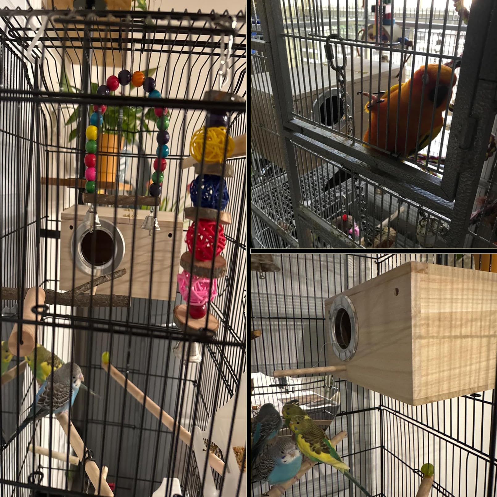 PINVNBY nesting box with perching ledge for comfortable roosting