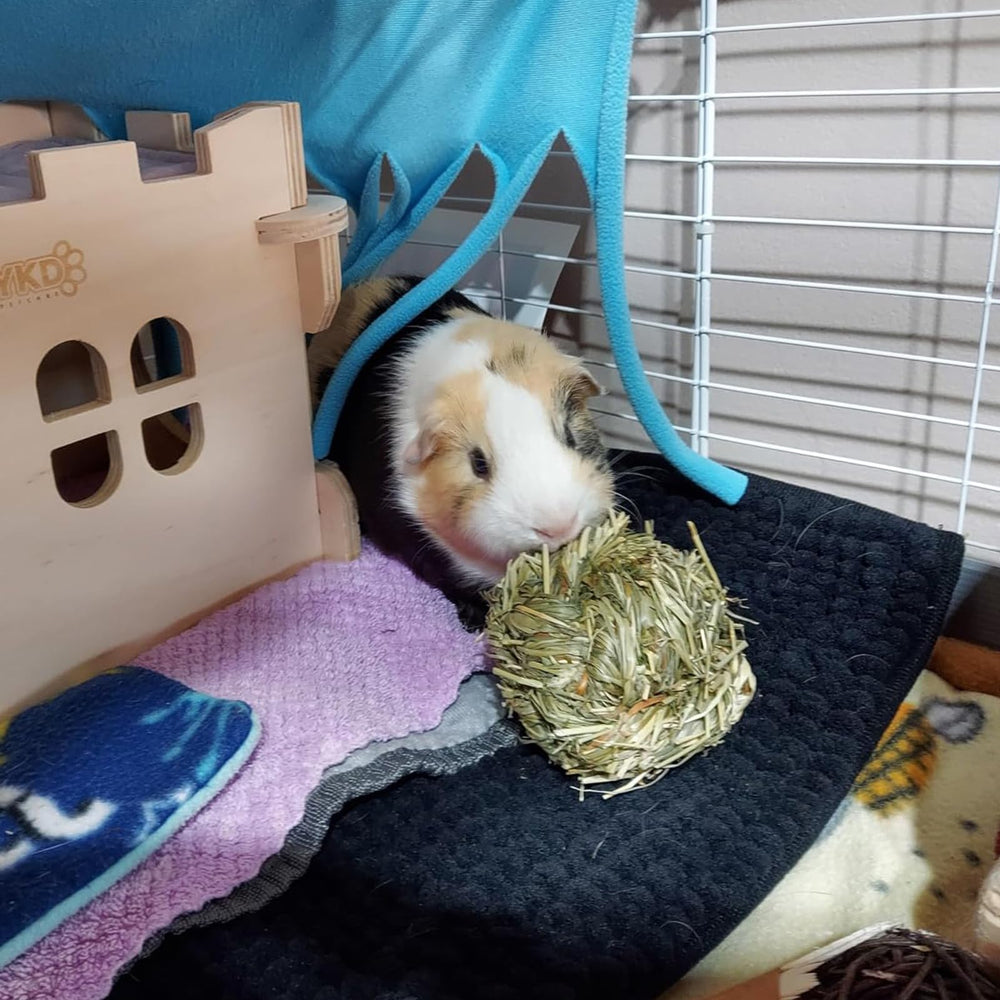 PINVNBY pack of 6 hay balls offers daily variety.