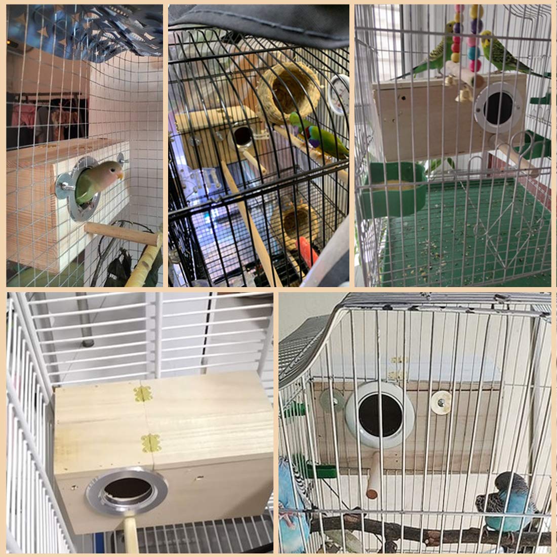 PINVNBY parakeet nesting box lid-open view, easy cleaning access.