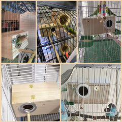 PINVNBY parakeet nesting box lid-open view, easy cleaning access.