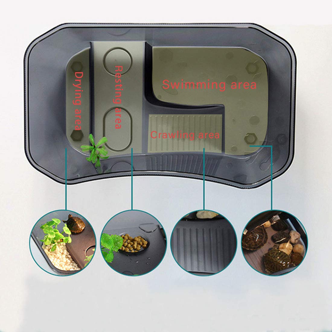 PINVNBY turtle tank with docking ramp enables easy water access.