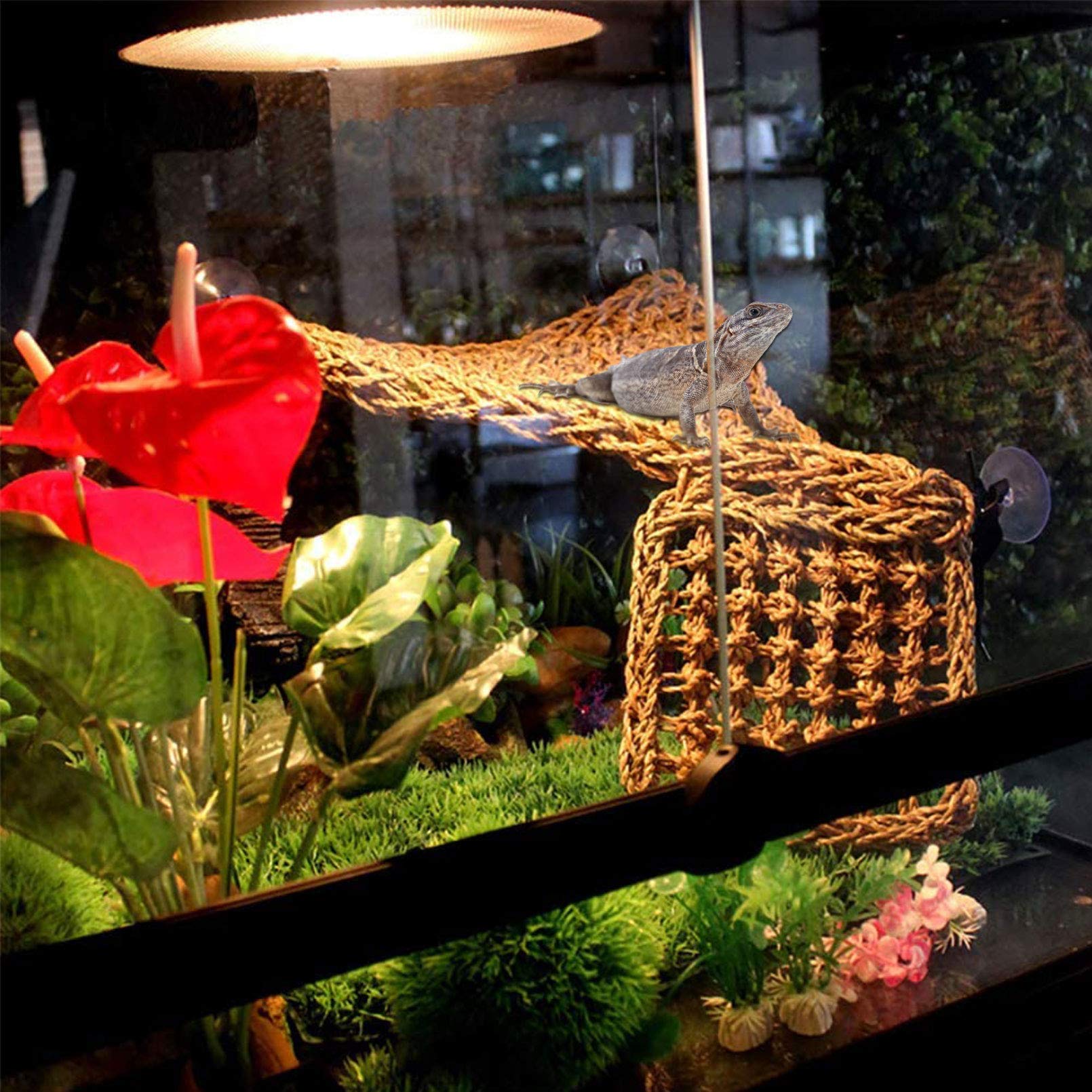 PINVNBY rectangle bearded dragon hammock creates an elevated basking perch.