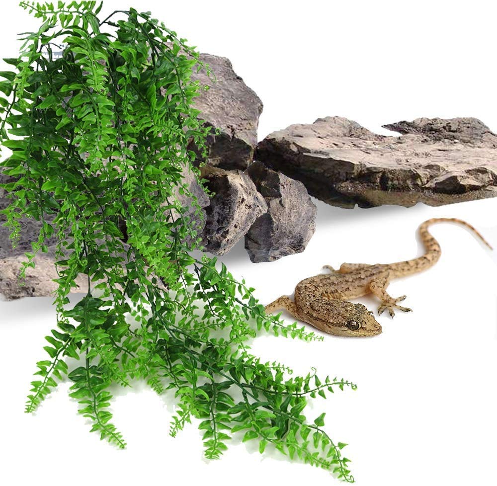PINVNBY Reptile Plants easy cleaning makes maintenance quick after misting sessions.