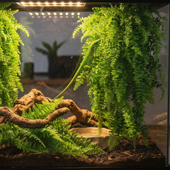 PINVNBY Reptile Plants iron-wire stems stay sturdy yet bendable for natural layouts.