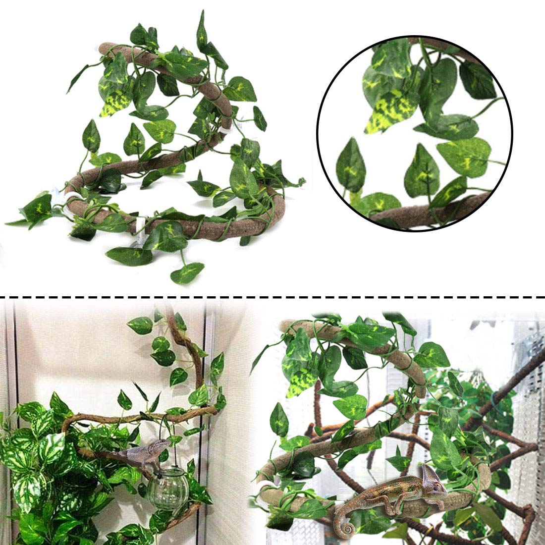 PINVNBY reptile tank decor setup enhances enrichment and aesthetics