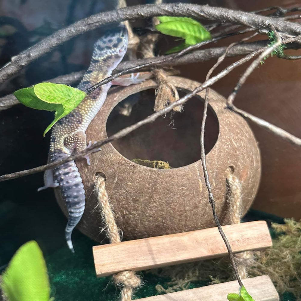 PINVNBY rustic coconut hideout suited for geckos and small pets
