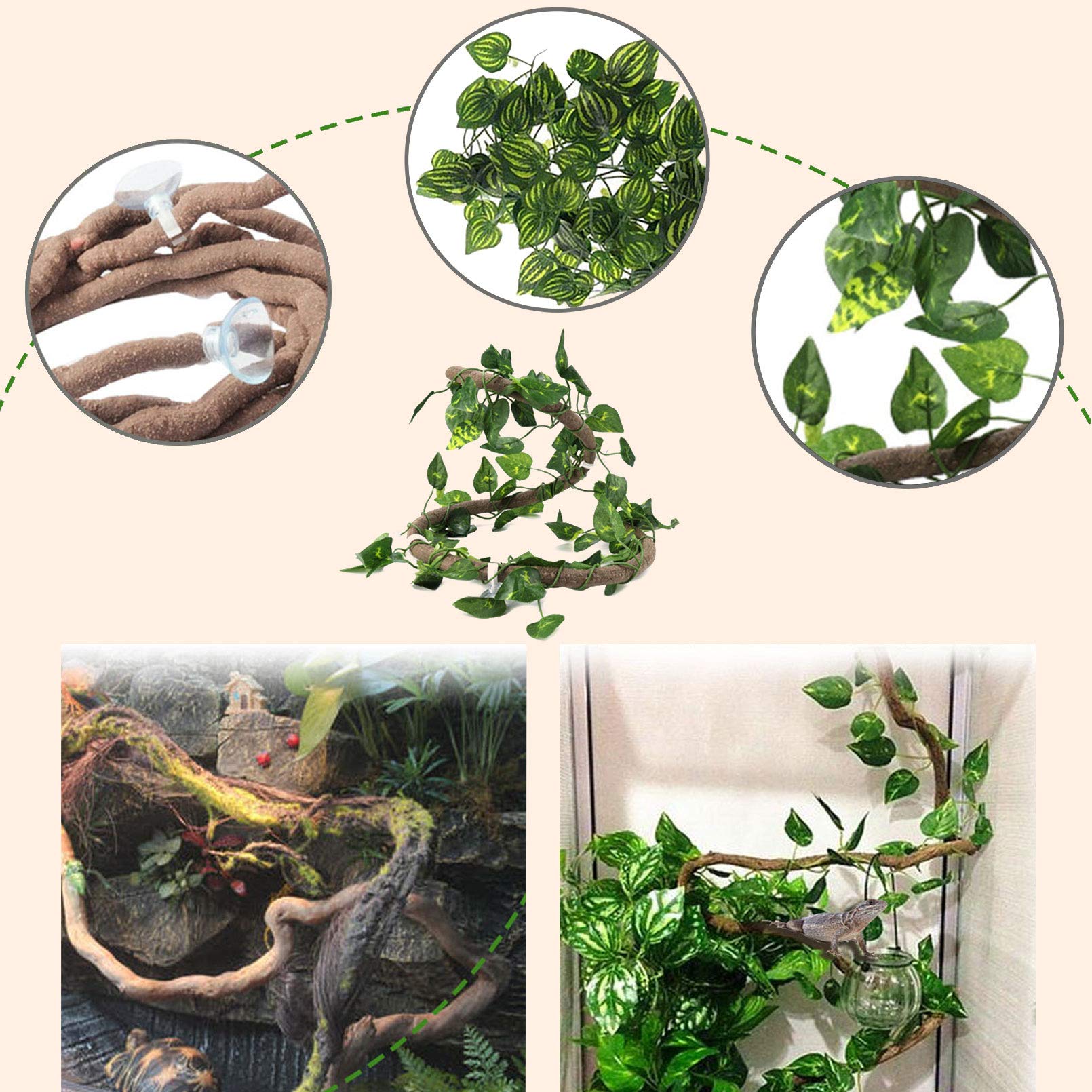 PINVNBY suction cups secure hammocks on glass terrariums.