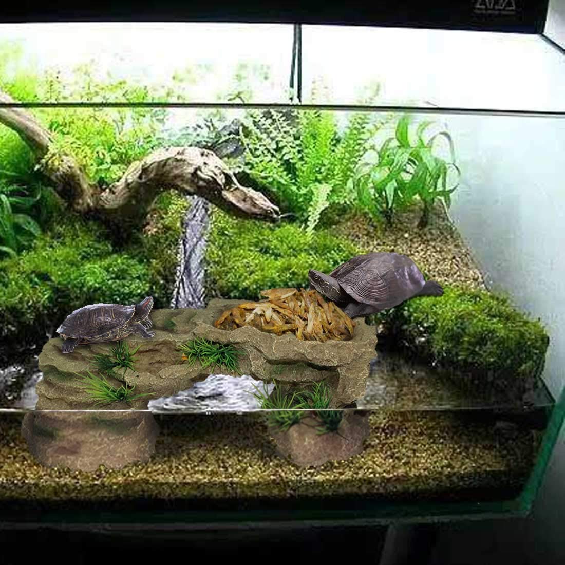 PINVNBY Turtle Basking Platform in reptile habitat offering hiding and basking space