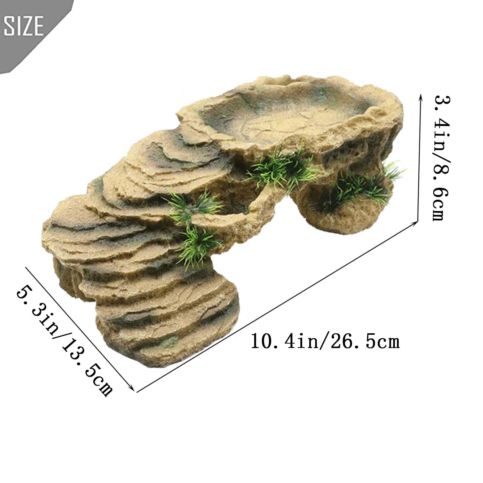 PINVNBY Turtle Basking Platform top view reveals separate feeding/basking area