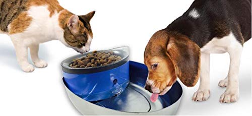 Pioneer Pet filter being installed into a pet fountain for replacement