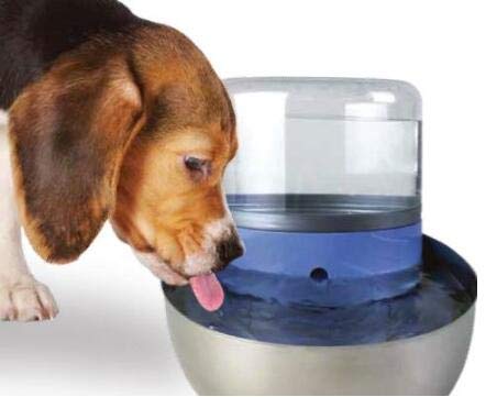 Pioneer Pet fountain maintenance shown with replacement filters