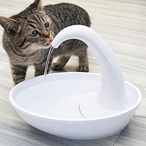 Pioneer Pet filter in hand for quick, simple fountain swaps