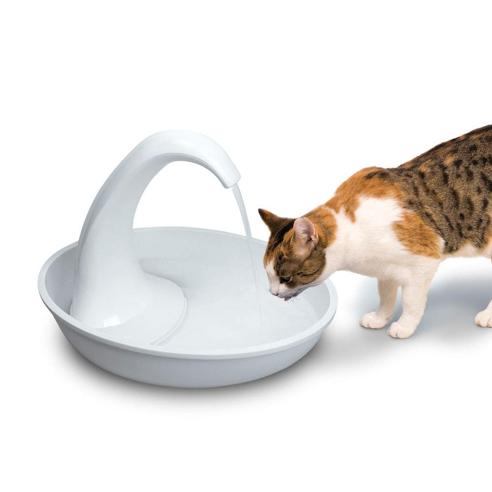 Pioneer Pet Swan easy-clean pump and impeller for quick maintenance