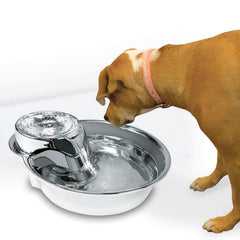 Close-up of circulating water flow in the Pioneer Pet fountain