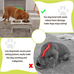 Piskyet 3.5 cup capacity for medium dogs supports comfortable meals.