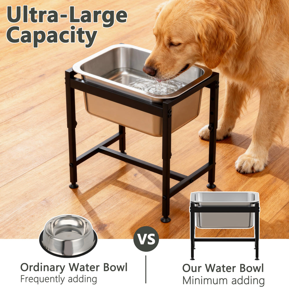 Piskyet anti-tip structure keeps the bowl steady during active drinking.